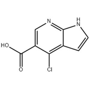 1H-Pyrrolo[2,3-b]pyridine-5-carboxylic acid, 4-chloro-