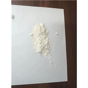 Procaine HCl /  Procaine