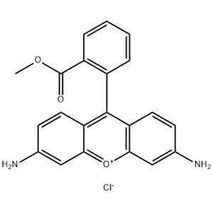 Rhodamine 123