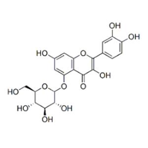 Quercetin 5-glucoside