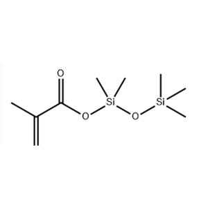 methacryloxypentamethyldisiloxane