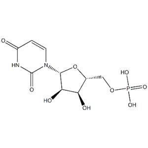 Polyuridylic acid potassium salt；Poly U-K,Poly U