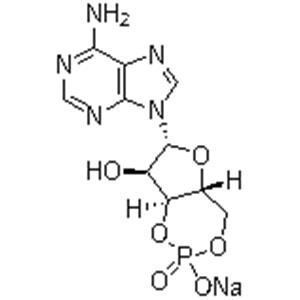 Adenosine 3',5'-cyclic monophosphate sodium salt；Cyclic AMP Na; 3:5-CAMP Na; 3',5'-CYCLIC AMP Na