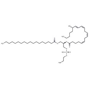 1-Stearoyl-2-15(S)-HETE-sn-glycero-3-PE