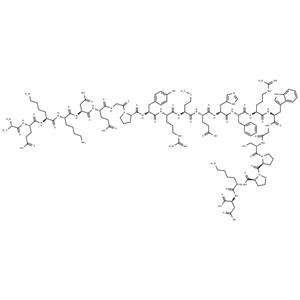 β-Melanocyte Stimulating Hormone (MSH), human