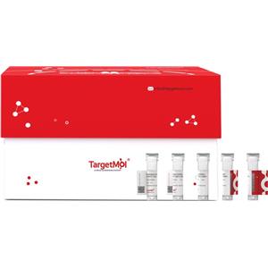 CD38 Protein, Cynomolgus, Rhesus, Recombinant (His)