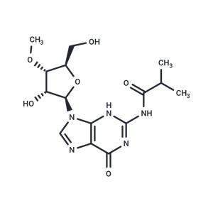 N2-iso-Butyroyl-3’-O-methylguanosine