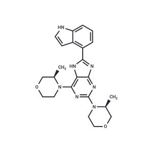 PI3K/mTOR Inhibitor-9