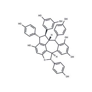 Ampelopsin C