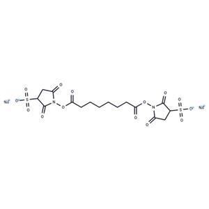 BS3 Crosslinker disodium