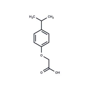 4-Isopropylphenoxyacetic ?acid