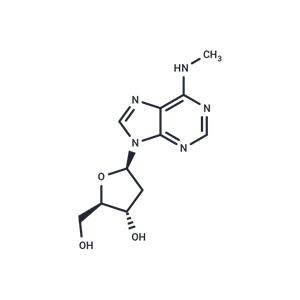 2’-Deoxy-N6-methyl adenosine