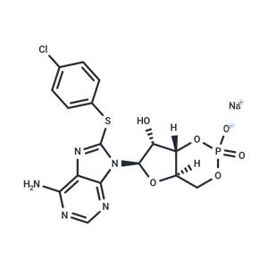 8-CPT-Cyclic AMP (sodium salt)