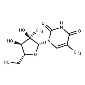 2’-C-Methyl-5-methyluridine