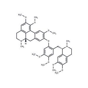 Thalicarpine