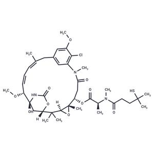 Maytansinoid DM4