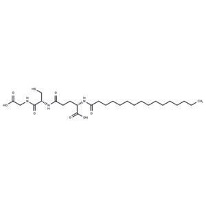 Glutathione palmitamide