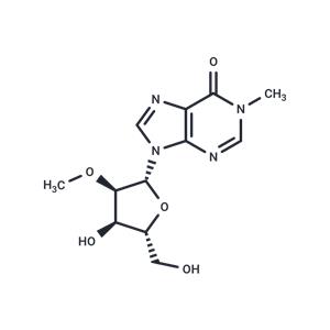 2’-O-Methyl-N1-methyl ? inosine