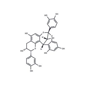 Procyanidin A2