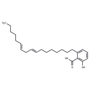 (E/Z)-Ginkgolic acid C17:2