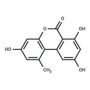 Alternariol