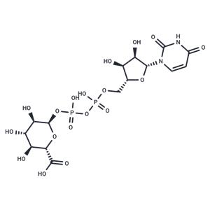 UDP-g acid