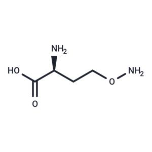 L-Canaline