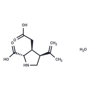 (-)-(α)-Kainic Acid (hydrate)