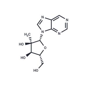 9-(2-C-methyl-β-D-ribofuranosyl)purine