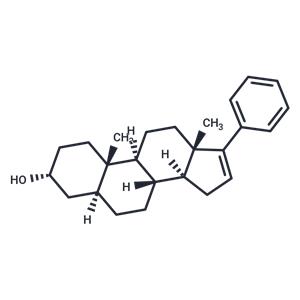 17-PA