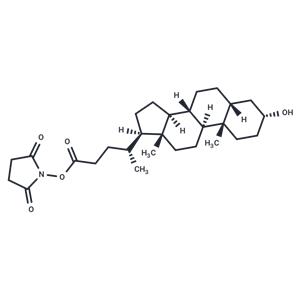 Lithocholyl-N-hydroxysuccinimide