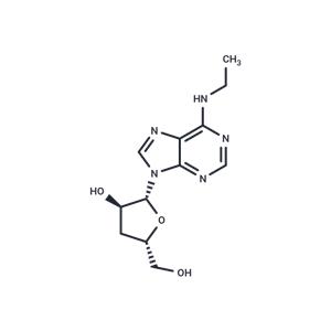 3’-Deoxy-N6-ethyladenosine