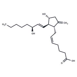 9-deoxy-9-methylene Prostaglandin E2