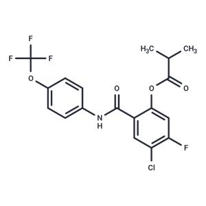 SARS-CoV-2-IN-38