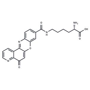 Topoisomerase IIα-IN-2