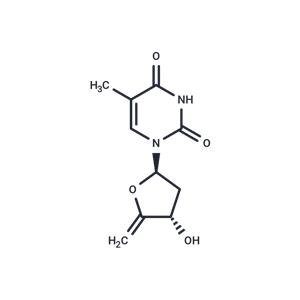 4’,5’-Didehydro-5’-deoxythymidine