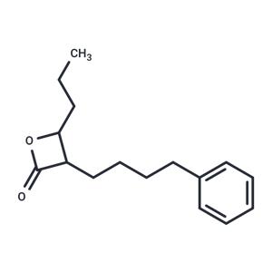 GSK563