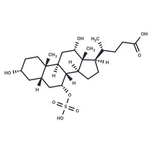 Cholic Acid 7-sulfate