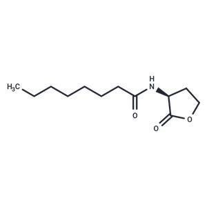 N-octanoyl-L-Homoserine lactone