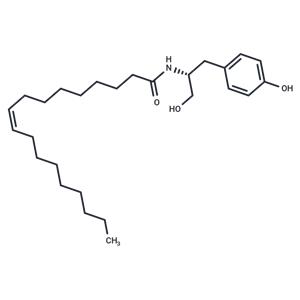 OMDM-2