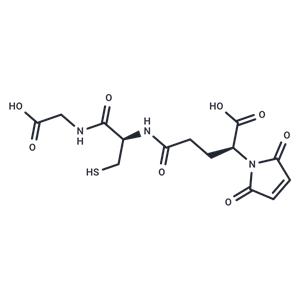 Glutathione maleimide