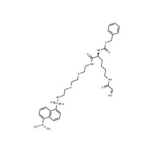 NC9 TG2 inhibitor