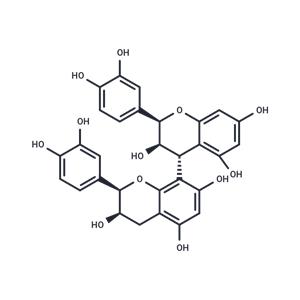 Procyanidin B2