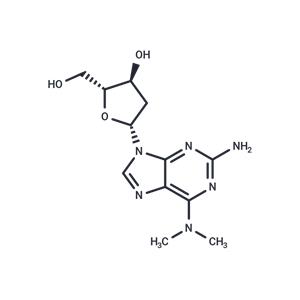 2-Amino-2’-deoxy-N6,N6-dimethyl-2’-adenosine