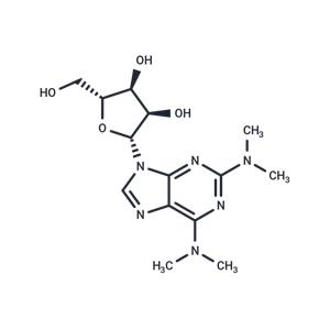 2-(N,N-Dimethylamino)-N6,N6-dimethyladenosine