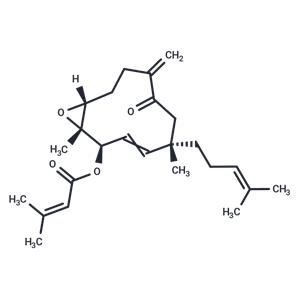 HSP90-IN-12