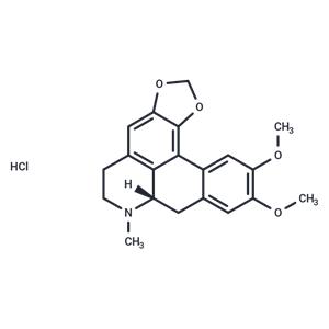 Dicentrine HCl