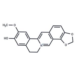 Groenlandicine