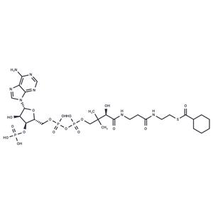 Cyclohexanoyl Coenzyme A