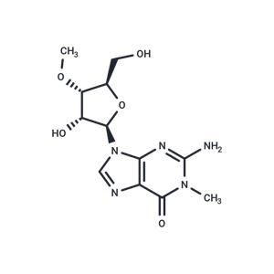 1,2’-O-Dimethyl ? guanosine